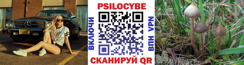 наркота  Райчихинск  Псилоцибиновые грибы Psilocybine cubensis 